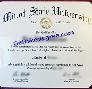Minot State University degree