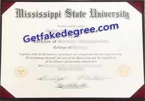 Mississippi State University degree
