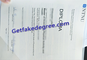 NTNU degree