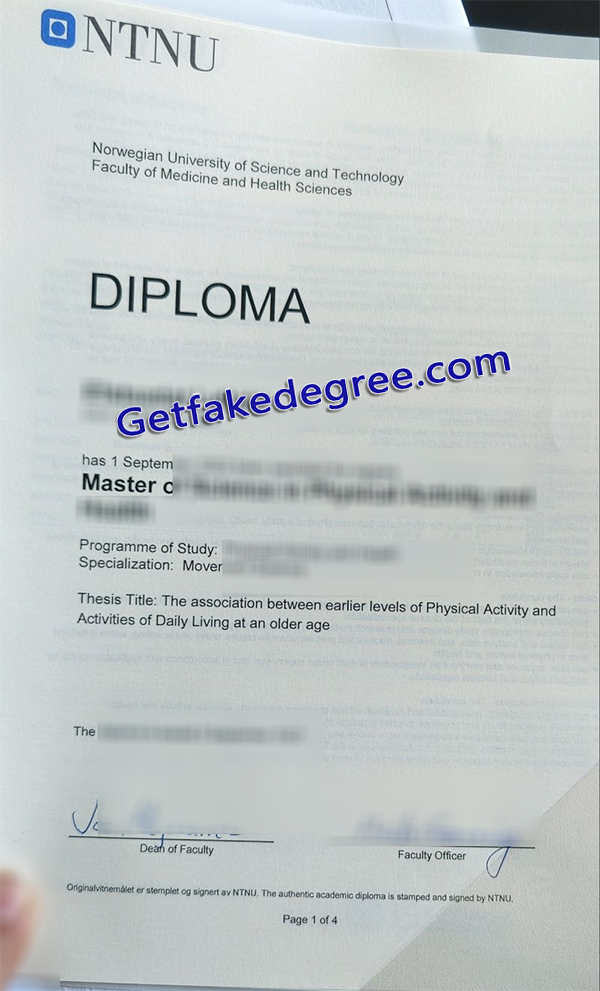 NTNU diploma