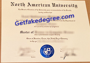 North American university degree