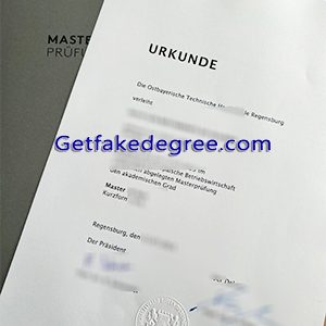 OTH Regensburg degree