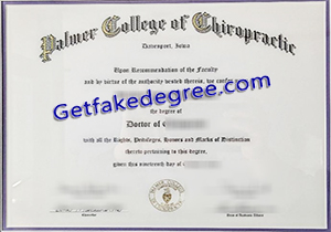 Palmer College of Chiropractic degree