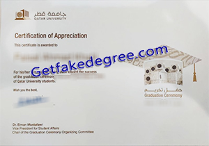 Qatar University degree