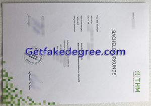 TH Mittelhessen degree