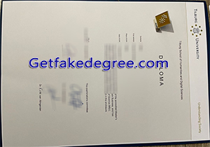 Tilburg University degree