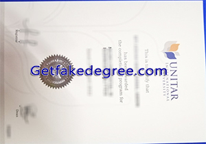 UNITAR International University degree