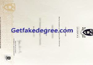 University of Liverpool degree