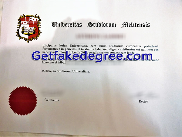 University of Malta diploma