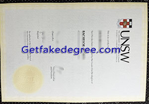 UNSW degree