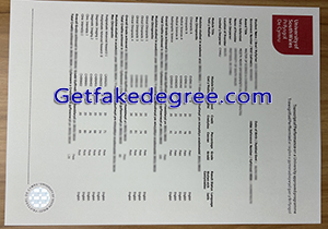 University of South Wales degree transcript