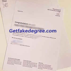 VIA University College degree