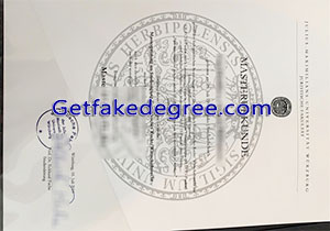 University of Würzburg degree