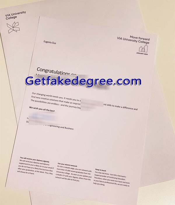 VIA University College diploma