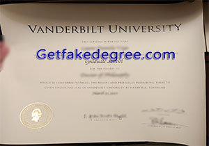 Vanderbilt University degree