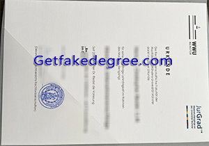 University of Münster degree