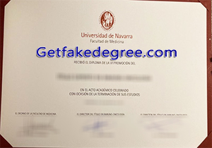 University of Navarra degree