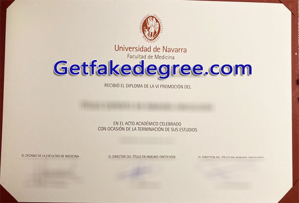 University of Navarra diploma
