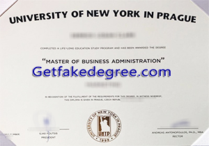 University of New York in Prague degree
