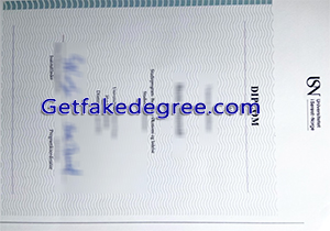 University of South-Eastern Norway degree