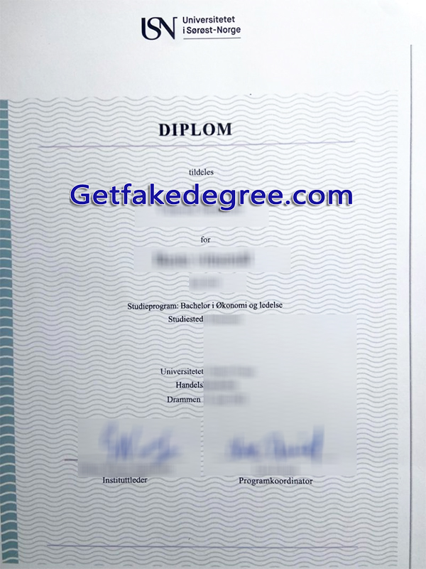 University of South-Eastern Norway diploma