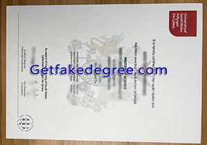 University of South Wales degree