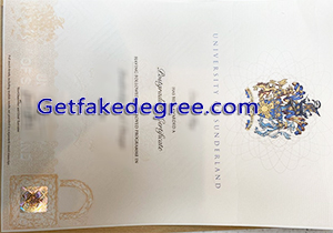 University of Sunderland degree
