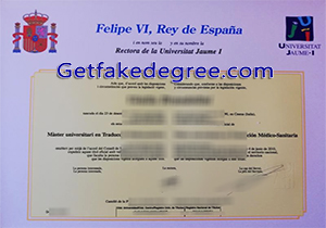 Universitat Jaume I degree