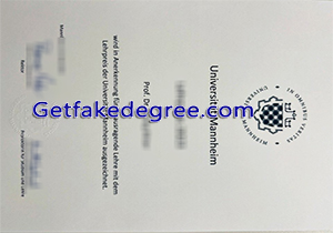 Universität Mannheim degree