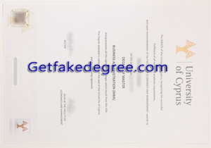 University of Cyprus degree