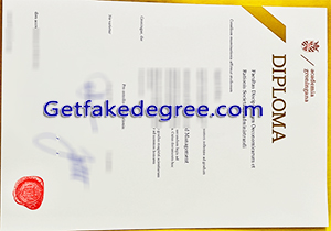 University of Groningen degree