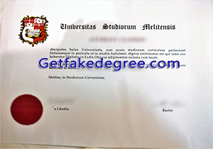 University of Malta degree
