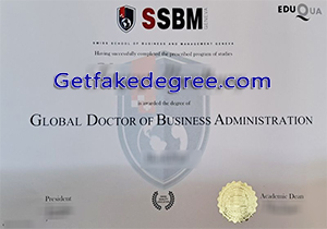 SSBM Geneva degree