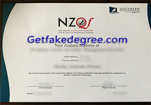 Southern Institute of Technology degree