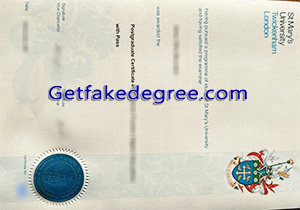 St Mary's University degree