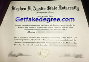 Stephen F. Austin State University degree