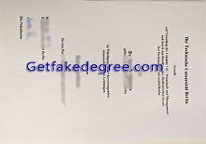 TU Berlin degree