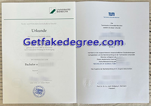 TU München degree