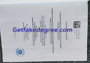 TU Wien degree