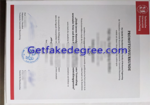 Technische Universität Braunschweig degree