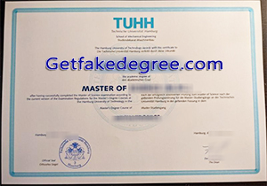 Technische Universität Hamburg degree
