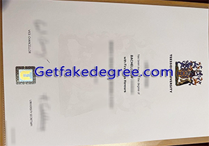 Teesside University degree