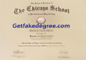 The Chicago School degree