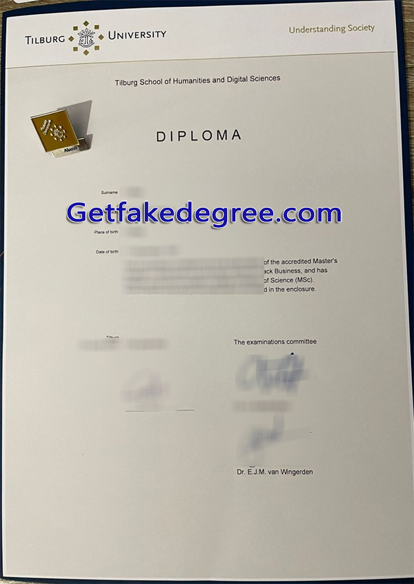 Tilburg University diploma