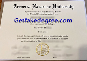 Trevecca Nazarene University degree