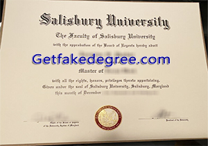 Salisbury University degree