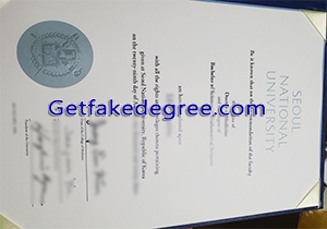 Seoul National University degree