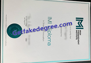 Irish Management Institute degree