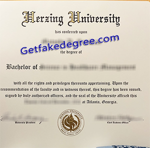 Herzing University degree