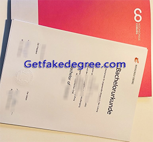 Hochschule Coburg degree